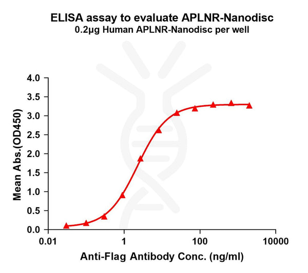 Human APLNR full length protein-synthetic nanodisc – Figure 1 of 1
