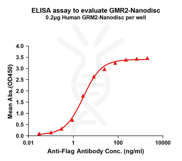Human GRM2 full length protein-synthetic nanodisc – Figure 1 of 1