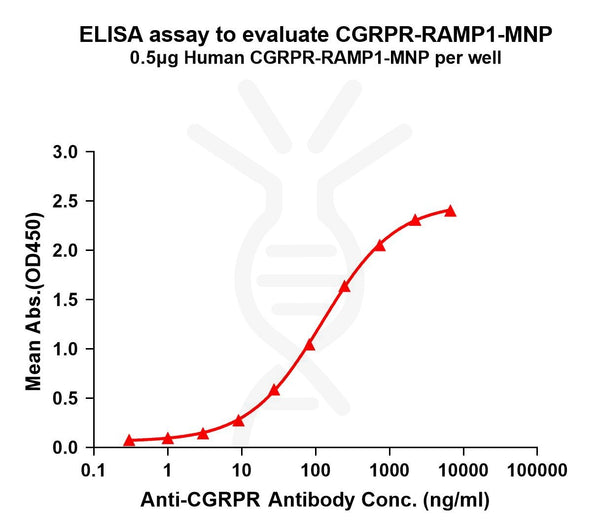 Human CGRPR-RAMP1 full length protein-MNP – Figure 1 of 1