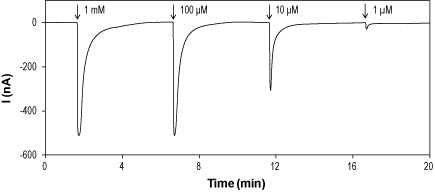 γ-Aminobutyric acid – Figure 1 of 2