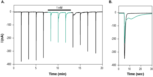 GMQ – Figure 1 of 2