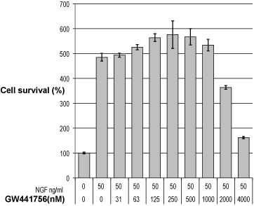 GW441756 – Figure 1 of 2