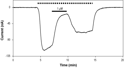 Gabazine – Figure 1 of 2