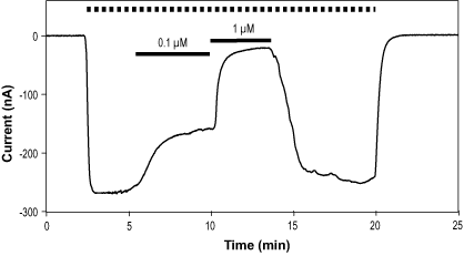Gabazine hydrobromide – Figure 1 of 2