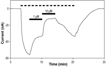 GYKI 47409 (BDZ-g) – Figure 1 of 2
