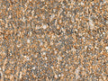 NLRC4 Polyclonal Antibody – Figure 1 of 3