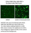 GAL4-DBD-ERα-LBD-BSD – Figure 1 of 1