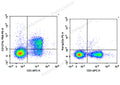 PE Anti-Mouse CD127/IL-7RA Antibody[A7R34] – Figure 1 of 2