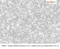 Top3b CRISPR Knockout 17CL-1 Stable Cell Line (Top3b-KO2 17CL-1) | Applied Biological Materials (abm)