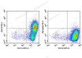 PE Anti-Mouse CD115/CSF-1R Antibody[AFS98] – Figure 1 of 2