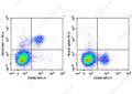 PE Anti-Mouse CD161/NK1.1 Antibody[PK136] – Figure 1 of 2