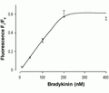 Bradykinin
