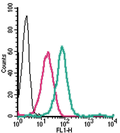 Anti-GPER1/GPR30 (extracellular)-FITC Antibody