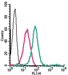 Anti-GPER1/GPR30 (extracellular)-FITC Antibody