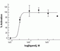 Galanin (2-11)