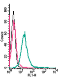 Anti-GPR55 (extracellular)-FITC Antibody