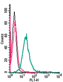 Anti-GPR55 (extracellular)-FITC Antibody