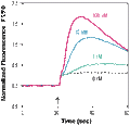 WKYMVm – Figure 1 of 1