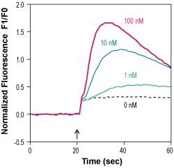 WKYMVm – Figure 1 of 1