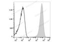 PE Anti-Mouse CD41 Antibody[MWReg30] – Figure 1 of 2