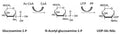 E. coli GlmU Assay Kit Plus – Figure 1 of 1