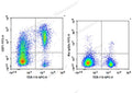 FITC Anti-Mouse CD71 Antibody[R17 217.1.3/TIB-219] – Figure 1 of 2
