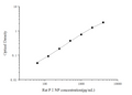 Rat PINP (Procollagen I N-Terminal Propeptide) ELISA Kit – Figure 1 of 3