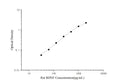 Rat BDNF (Brain Derived Neurotrophic Factor) ELISA Kit – Figure 1 of 3