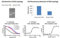 H19 Dye for DNA Relaxation and Supercoiling Assays – Figure 1 of 1