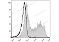 PE Anti-Mouse MHC II (I-A/I-E) Antibody[M5/114] – Figure 1 of 2