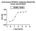 SDS-PAGE for Anti-Human BTN2A1 Antibody (SAA2136)
