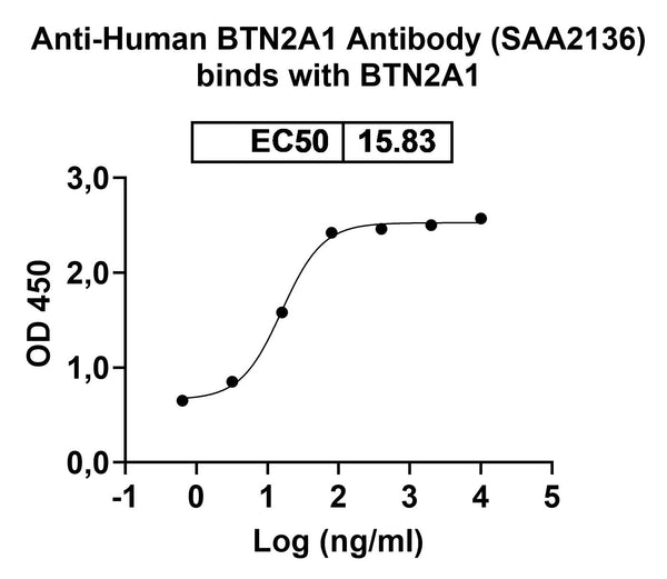 SDS-PAGE for Anti-Human BTN2A1 Antibody (SAA2136)