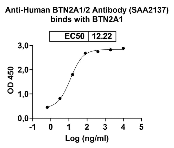SDS-PAGE for Anti-Human BTN2A1/2 Antibody (SAA2137)