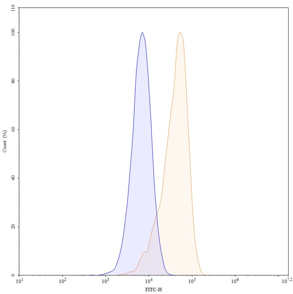 Flow-cytometry using FITC anti-human CD22 antibody. Daudi cells were stained with an irrelevant antibody (Blue Histogram) or an FITC anti-human CD22 monoclonal antibody (Catalog: HB011317, Yellow Histogram) at a concentration of 5 µg/ml for 30 mins at RT. After washing, and cells analysed on a NovoCyte Flow Cytometer.