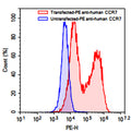Flow-cytometry using PE anti-human  CCR7 antibody. Untransfected (Blue Histogram) or Transfected 293T cells (Red Histogram) were fixed and permeabilized, then stained with a PE anti-human CCR7 antibody monoclonal antibody (Catalog # HB053127) at a concentration of 5 µg/ml for 30 mins at RT. After washing, cells analysed on a NovoCyte Flow Cytometer.