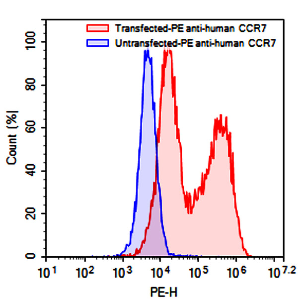 Flow-cytometry using PE anti-human  CCR7 antibody. Untransfected (Blue Histogram) or Transfected 293T cells (Red Histogram) were fixed and permeabilized, then stained with a PE anti-human CCR7 antibody monoclonal antibody (Catalog # HB053127) at a concentration of 5 µg/ml for 30 mins at RT. After washing, cells analysed on a NovoCyte Flow Cytometer.