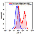Flow-cytometry using APC anti-human CCR7 antibody. Untransfected (Blue Histogram) or Transfected 293T cells (Red Histogram) were fixed and permeabilized, then stained with an APC anti-human CCR7 antibody monoclonal antibody (Catalog # HB053137) at a concentration of 5 µg/ml for 30 mins at RT. After washing, cells analysed on a NovoCyte Flow Cytometer.