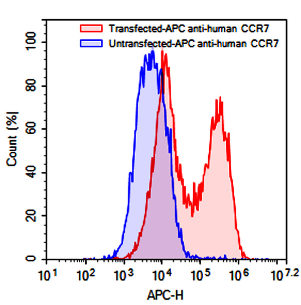Flow-cytometry using APC anti-human CCR7 antibody. Untransfected (Blue Histogram) or Transfected 293T cells (Red Histogram) were fixed and permeabilized, then stained with an APC anti-human CCR7 antibody monoclonal antibody (Catalog # HB053137) at a concentration of 5 µg/ml for 30 mins at RT. After washing, cells analysed on a NovoCyte Flow Cytometer.