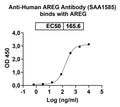 SDS-PAGE for Anti-Human AREG Antibody (SAA1585)