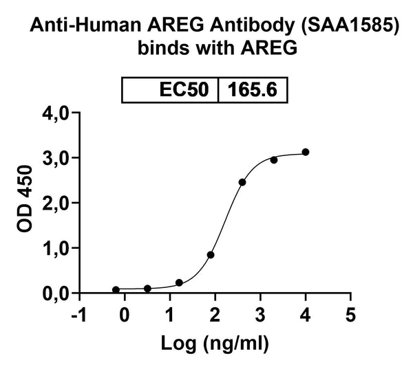 SDS-PAGE for Anti-Human AREG Antibody (SAA1585)