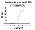 Anti-Human EpCAM/TROP1 Reference Antibody (Tucotuzumab) – Figure 1 of 3