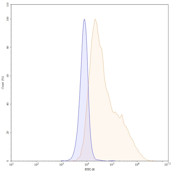SEC-HPLC detection for Anti-Human ERBB3/HER3 Antibody (ABS0254).