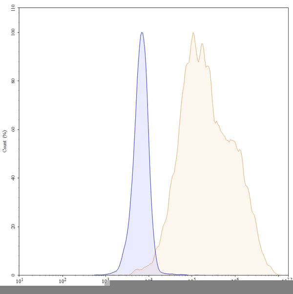 Anti-Human ErbB3/Her3 Reference Antibody (Patritumab) – Figure 1 of 2