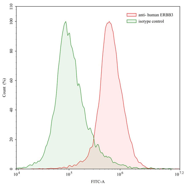 Flow-cytometry using anti-human ERBB3 antibody. Human SK-BR-3 cell line were stained with an irrelevant antibody (Green Histogram) or an anti-human ERBB3 antibody monoclonal antibody (Catalog # HB116107 , Red Histogram) at a concentration of 20 µg/ml for 30 mins at RT. After washing, bound antibody was detected using a FITC conjugated goat anti-human antibody (Catalog # HF690414) and cells analysed on a NovoCyte Flow Cytometer.