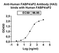 Detects Human FABP4/aP2 in indirect ELISAs.