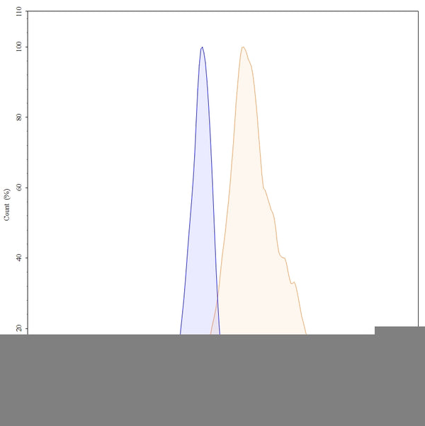 Flow-cytometry using anti-human CDH3 antibody. Untransfected cells (blue Histogram) and Transfected cells (Yellow Histogram) were stained with an anti-human CDH3 monoclonal antibody (Catalog: HB245207) at a concentration of 5 µg/ml for 30 mins at RT. After washing, bound antibody was detected using a Goat Anti-Mouse IgG H&L Polyclonal Antibody, FITC (abinScience: MF690414) and cells analysed on a NovoCyte Flow Cytometer.