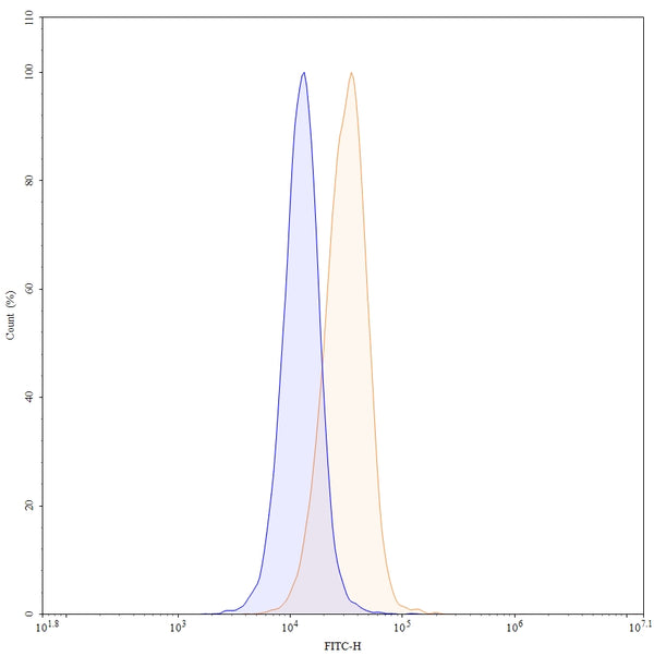 Flow-cytometry using FITC anti-human CD105 antibody. Hela cells were stained with an irrelevant antibody (Blue Histogram) or an FITC anti-human CD105 monoclonal antibody (Catalog: HB604117, Yellow Histogram) at a concentration of 5 µg/ml for 30 mins at RT. After washing, and cells analysed on a NovoCyte Flow Cytometer.