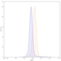 Flow-cytometry using PE anti-human CD105 antibody. Hela cells were stained with an irrelevant antibody (Blue Histogram) or an PE anti-human CD105 monoclonal antibody (Catalog: HB604127, Yellow Histogram) at a concentration of 5 µg/ml for 30 mins at RT. After washing, and cells analysed on a NovoCyte Flow Cytometer.