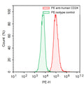 Flow-cytometry using PE anti-Human CD24 antibody. SK-BR-3 cells were stained with an irrelevant antibody  (Green Histogram) or a PE anti-Human CD24 antibody monoclonal antibody (Catalog # HB630327 , Red Histogram) at a concentration of 5 µg/ml for 30 mins at RT. After washing, cells analysed on a NovoCyte Flow Cytometer.