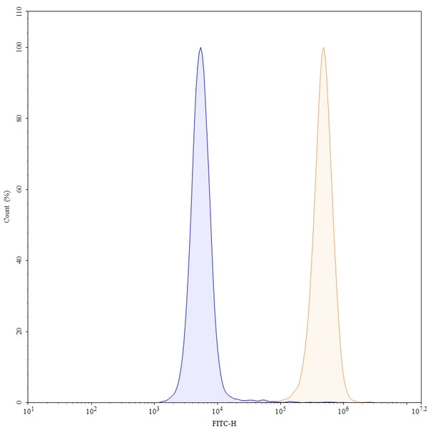 Flow-cytometry using anti-human CD13 antibody. U937 cells were stained with an irrelevant antibody (Blue Histogram) or an anti-human CD13 monoclonal antibody (Catalog: HB650107, Yellow Histogram) at a concentration of 5 µg/ml for 30 mins at RT. After washing, bound antibody was detected using a Goat Anti-Mouse IgG H&L Polyclonal Antibody, FITC (abinScience: MF690414) and cells analysed on a NovoCyte Flow Cytometer.